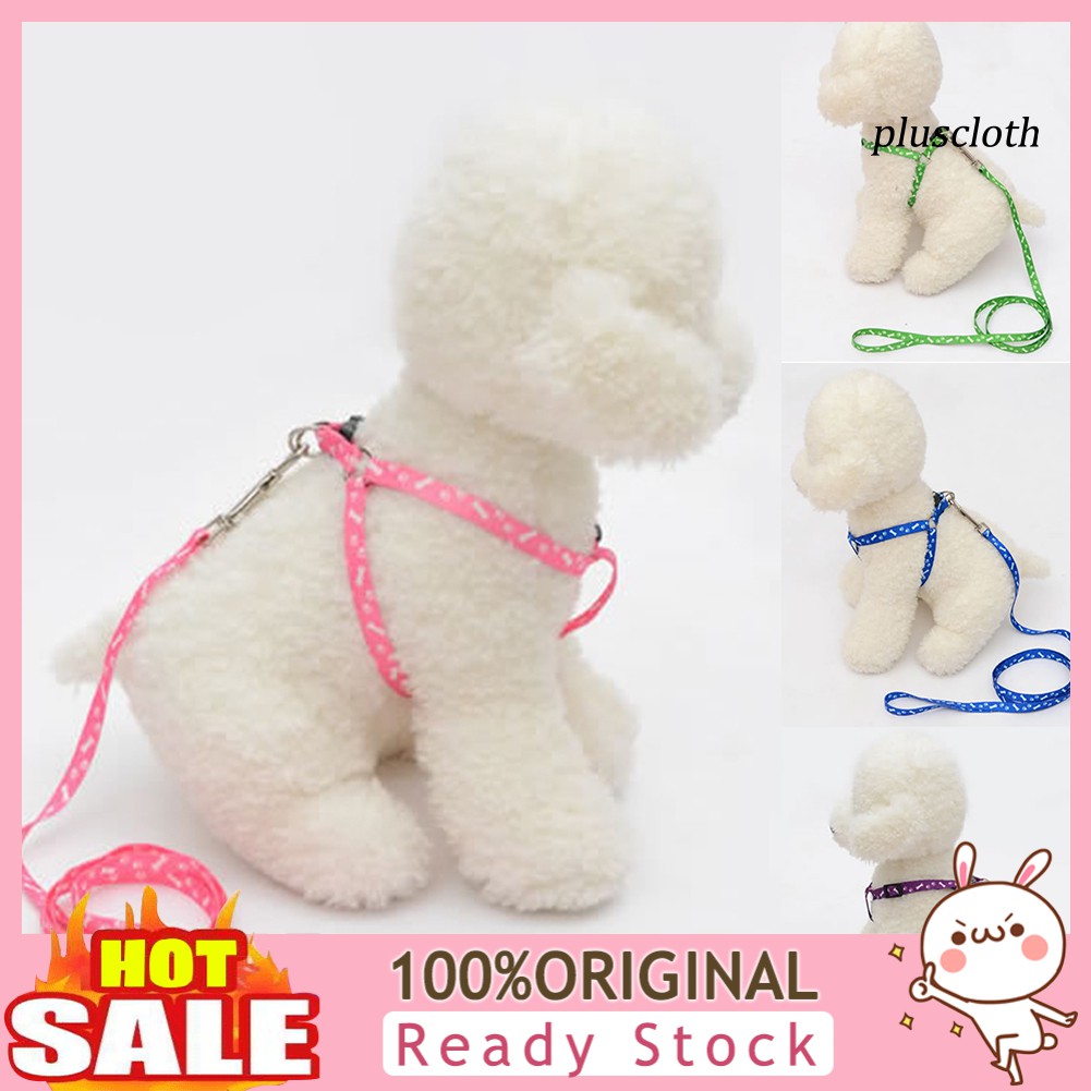 Dây Dắt Thú Cưng Đi Dạo Nhiều Màu 120cm