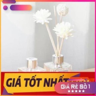 Tinh dầu thơm để phòng, dầu thơm đuổi muỗi, tinh dầu khuếch tán [ giadungphuongnguyen ]
