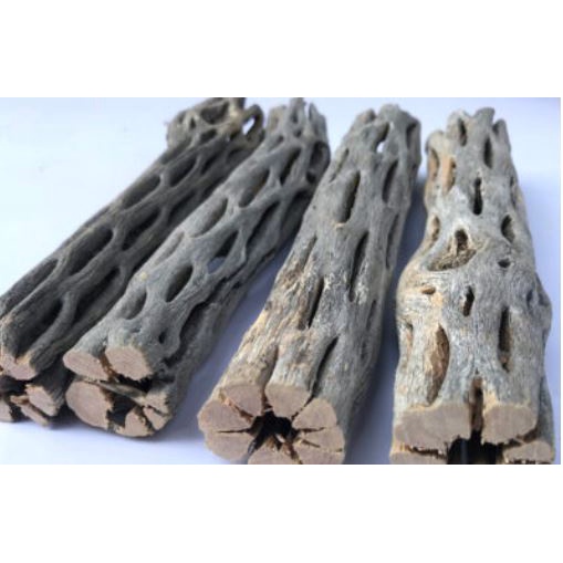 Lũa cholla (lũa xương rồng) cho hồ tép cảnh