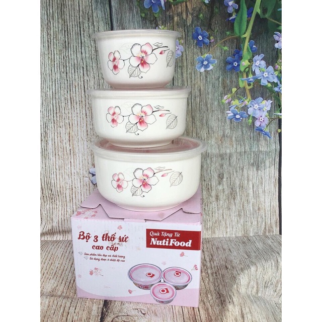 Bộ thố sứ có nắp hút chân không hình ngẫu nhiên