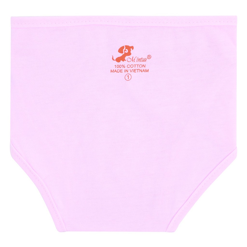 Combo 5 Tã Vải Dán Mintuu (80 x 40 cm) 2021