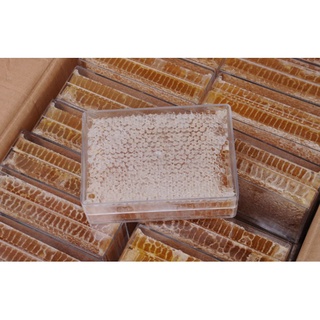 Mật ong bánh tổ nguyên sáp 500gram giá chỉ 145.000đ. tặng kèm 1 que gỗ lấy - ảnh sản phẩm 2