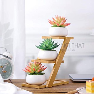 Kệ decor đựng chậu hoa sen đá, cây phong thủy gỗ thông tự nhiên bền đẹp ( ẢNH THẬT )