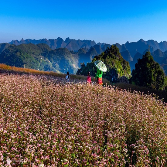 [EVoucher Vietravel] Đông Bắc: Hà Giang - Lũng Cú - Đồng Văn - Mã Pí Lèng - Cột Cờ Lũng Cú