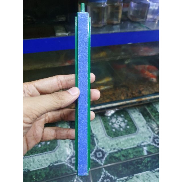 THANH SỦI OXY HỒ CÁ DÀI 20CM