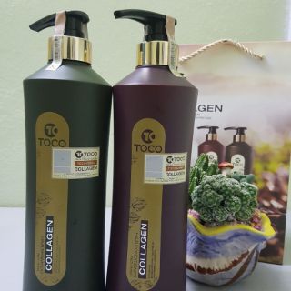 [Cả cặp] Dầu cặp cao cấp toco 785ml