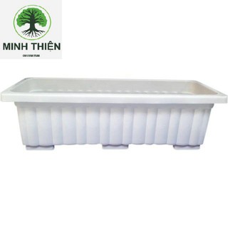Combo 3 chậu chữ nhật trồng cây thông minh dai 63.5cm19cm