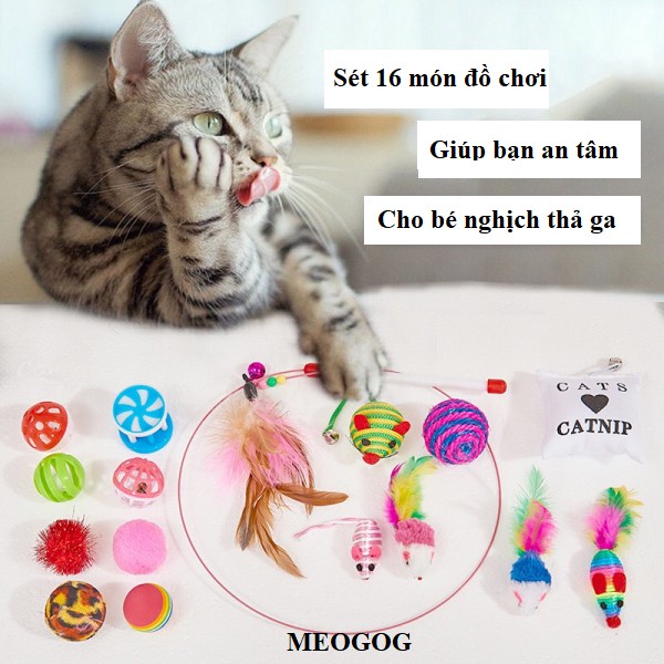 Combo đồ chơi giảm stress cho mèo cat toy đồ chơi cho chó mèo bóng cần câu MEOGOG
