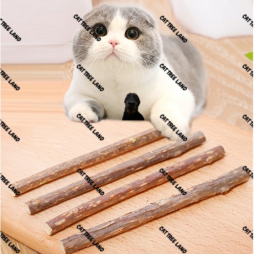 CÂY GỖ CATNIP (CỎ BẠC HÀ) CHO MÈO GẶM SẠCH RĂNG, SNACK THƯỞNG MÈO THỨC ĂN NHẸ TIÊU BÚI LÔNG HAIRBALL - ĐỒ CHƠI CHÓ MÈO