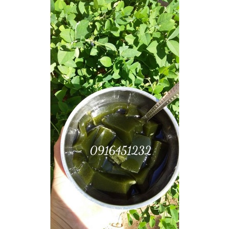 Lá sương sâm lông khô 100g + bột nang mực