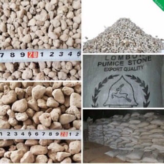 Combo 5kg đá Bọt trồng Hoa Lan và cây cảnh