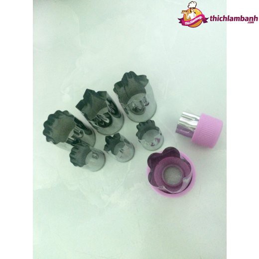 TLB - Bộ nhấn củ quả