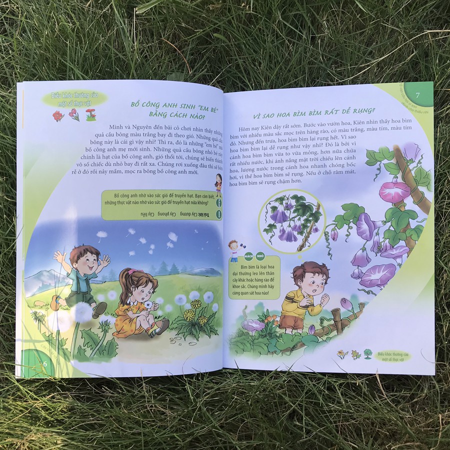 Sách: 10 Vạn Câu Hỏi Vì Sao - Cây Cỏ Lá Và Hoa - TSTH