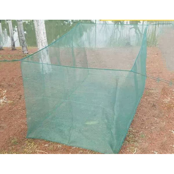 Tráng nuôi ốc nhồi mới nở - 2x1x1 sản phẩm tốt 121