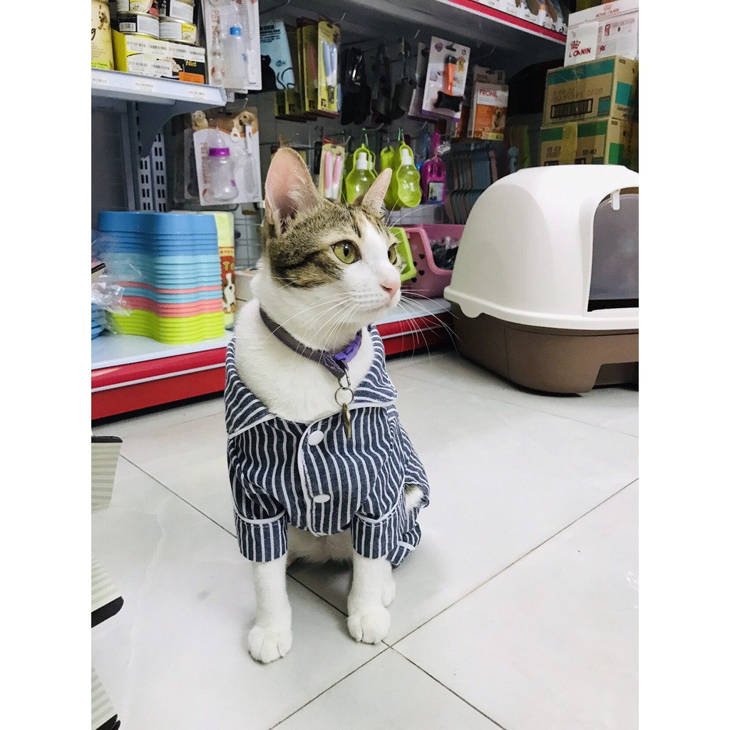 ÁO CHÓ MÈO - BỘ PIJAMA 4 CHÂN DỄ THƯƠNG
