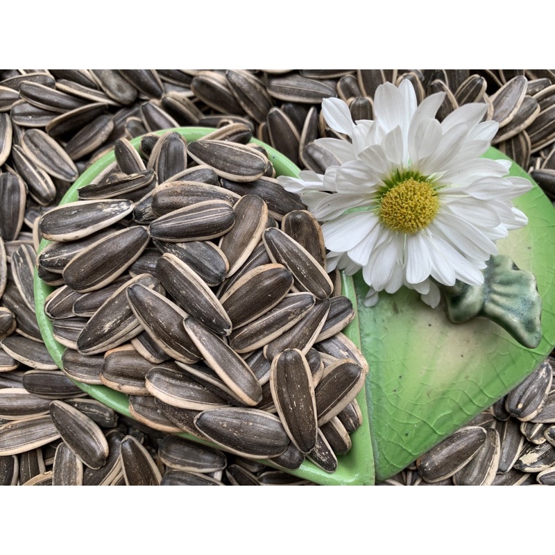 1kg Hướng dương cho các dòng vẹt.