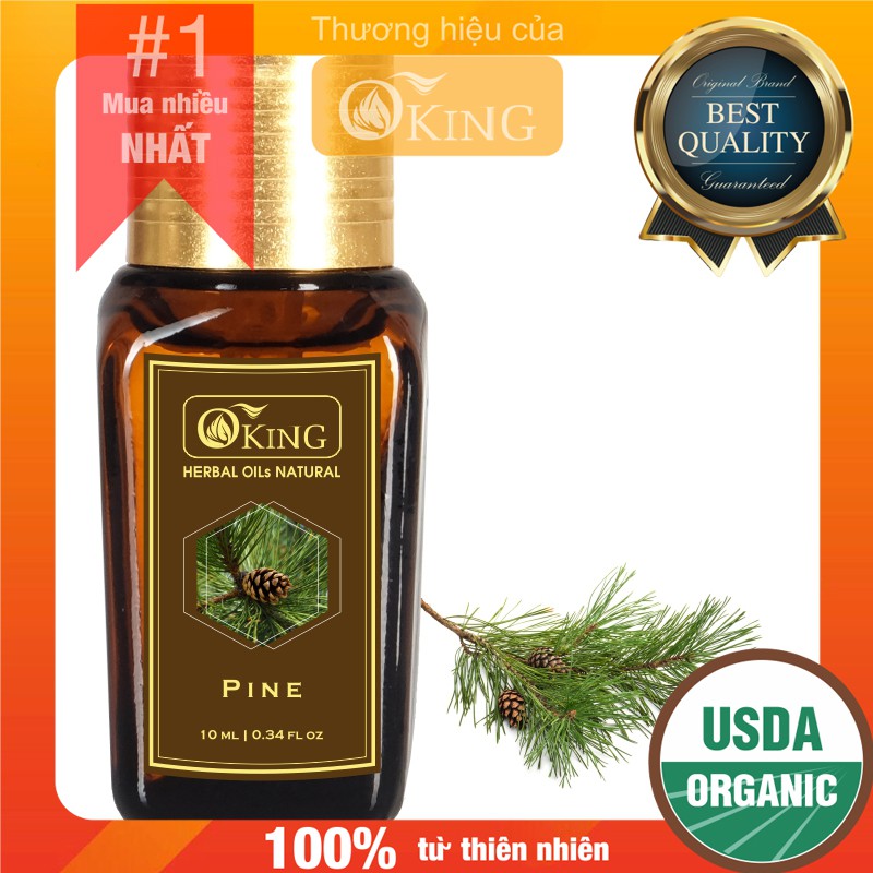 Tinh dầu Thông nguyên chất (Pine) 10ml | Oking Việt Nam