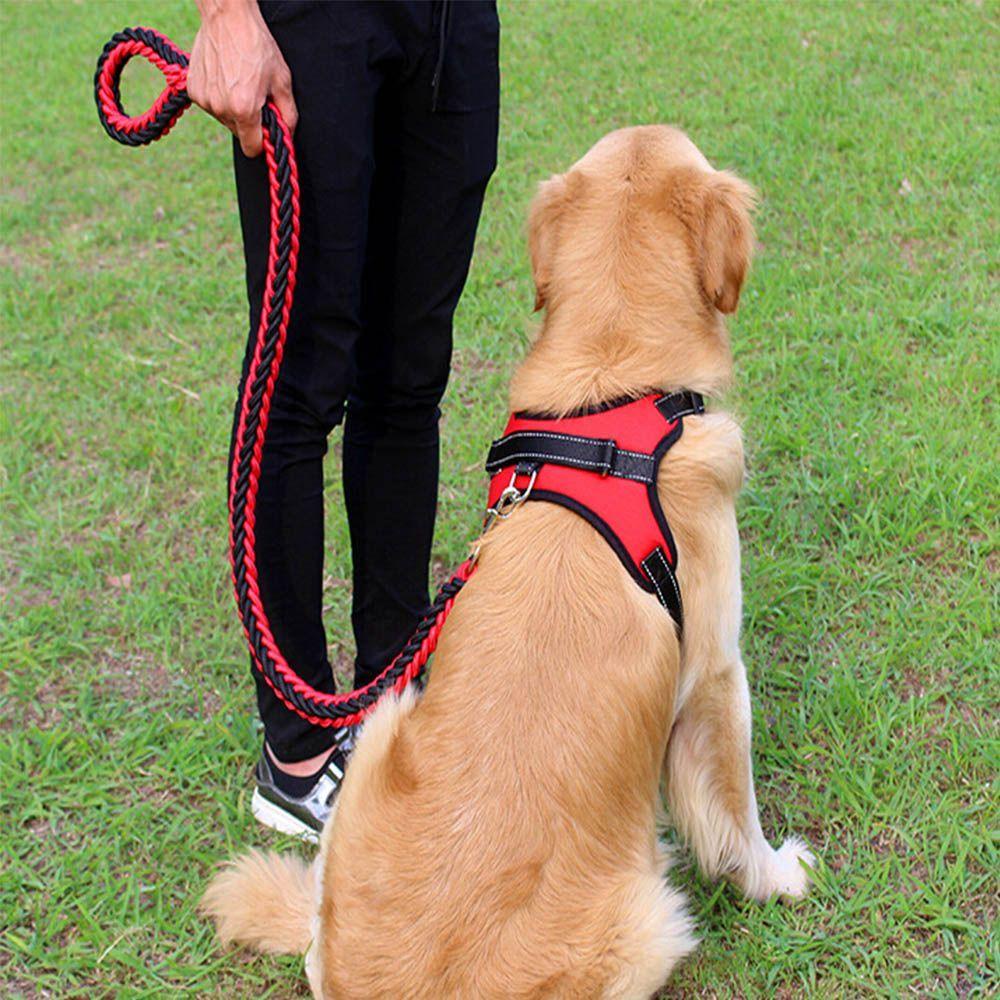 [COD] Dây Dắt Thú Cưng Đi Dạo Cỡ Nhỏ Tùy Chỉnh Tiện Dụng