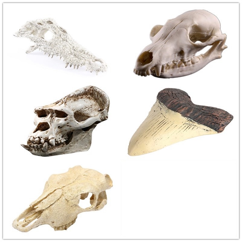 Mô Hình Đầu Lâu Động Vật Bằng Nhựa Resin Trang Trí Halloween