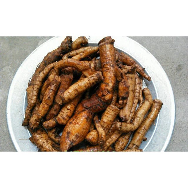 Củ gai tươi giúp an thai 1kg
