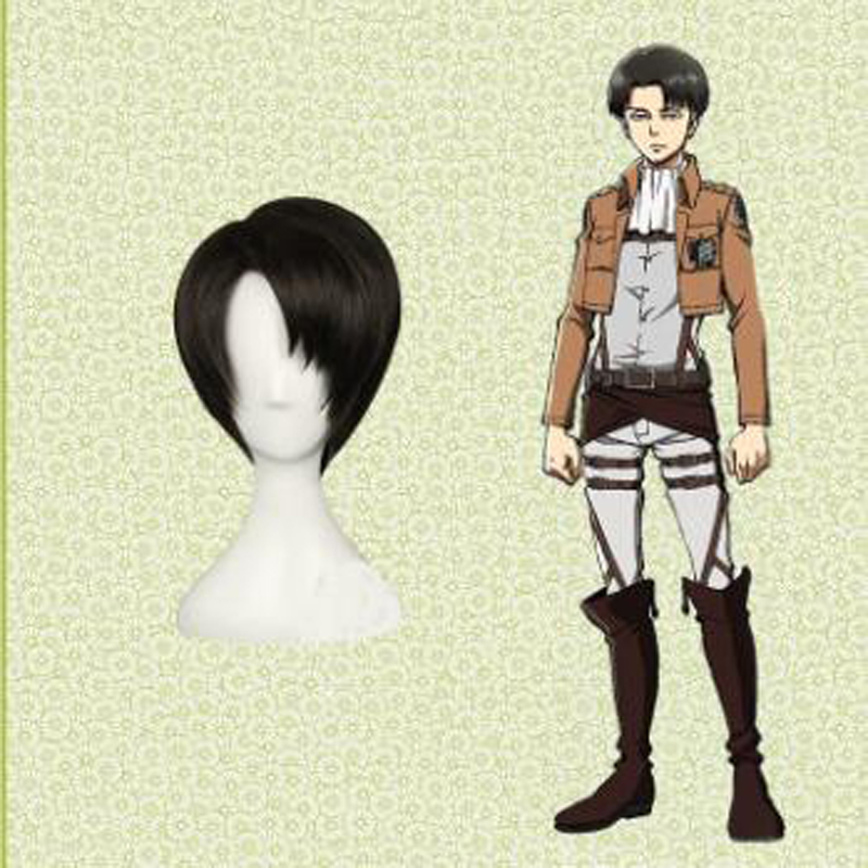 Attack on Titan Mikasa/Allen/Bao Long Wig Cosplay Wig Headgear Send Hair Net