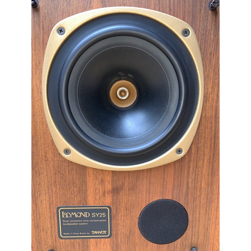 Loa tannoy SY25
