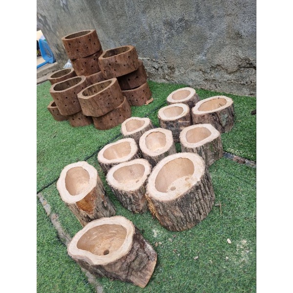 chậu gỗ vú sữa trồng lan, sen đá, cây cảnh