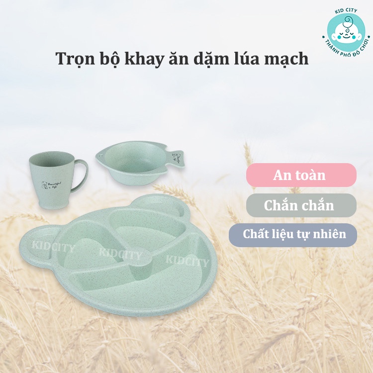 Set Khay Ăn Dặm Lúa Mạch Kiểu Nhật, Khay Ăn Dặm Cho Bé Chất Lượng Hình Gấu Đáng Yêu