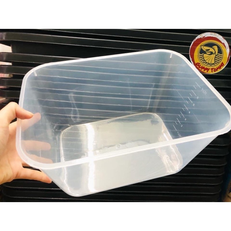 Khay Nhựa 7 Lít, Ép Cá, Nuôi Cá Con 30×22×16
