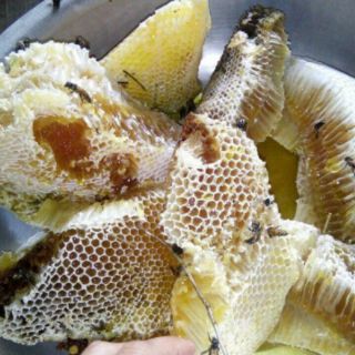 1 lít Mật ong rừng