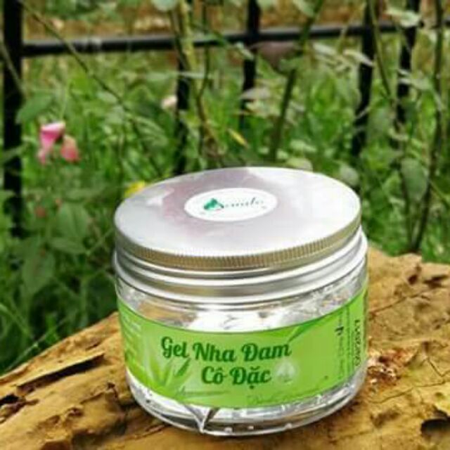 Gel nha đam cô đặc