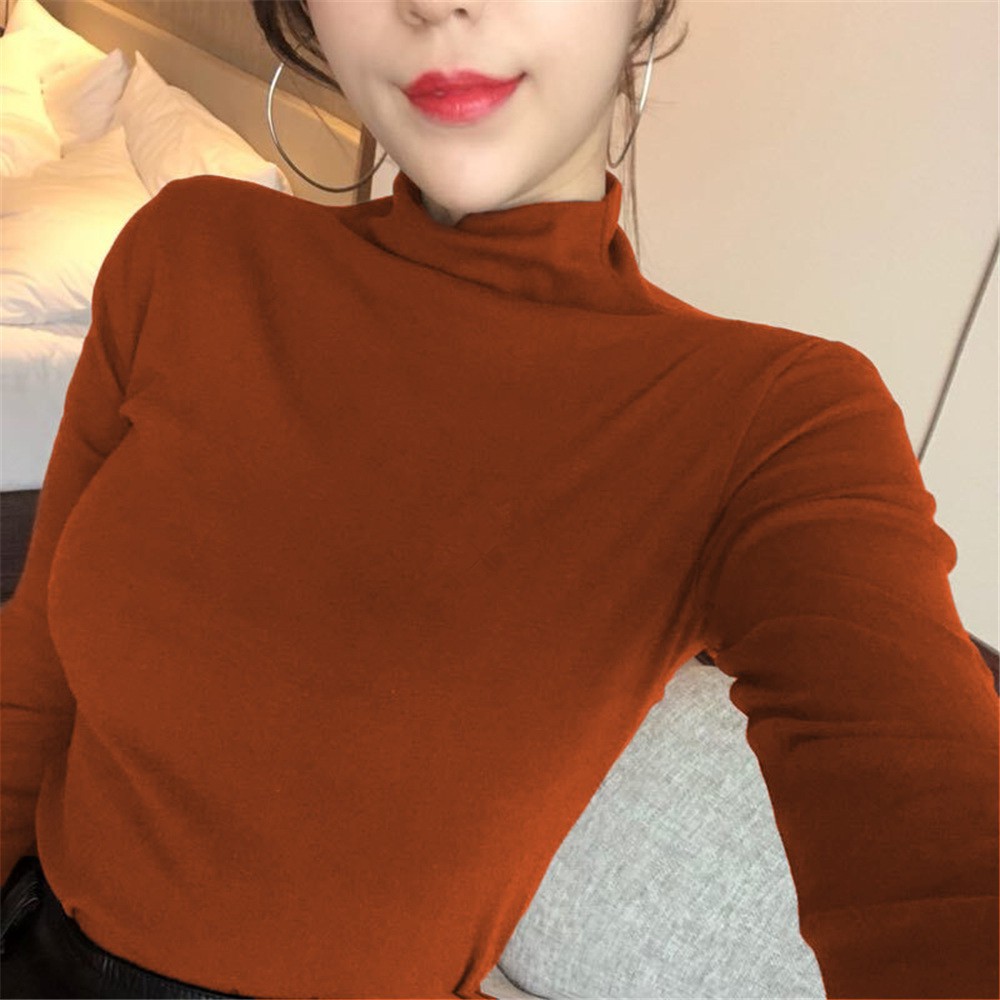 Áo kiểu nữ tay dài cổ lọ phong cách Hàn Quốc | BigBuy360 - bigbuy360.vn