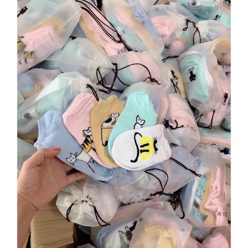 Sét 5đôi vớ thun cotton