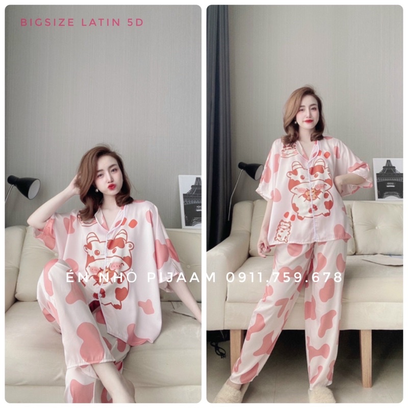 latin set in 5D  size Đại cánh Rơi  50-110kg Én Nhỏ Pijama