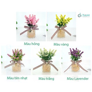 Chậu hoa nhỏ để bàn Lavender số 77