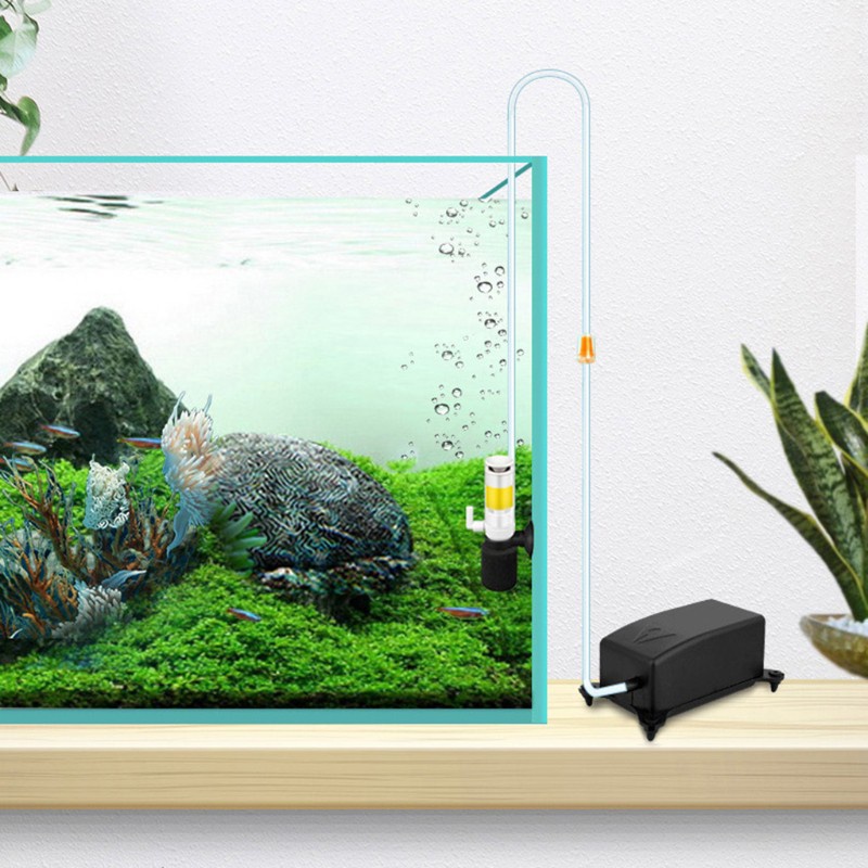 Máy bơm khí oxy 3 trong 1 kích thước nhỏ cho hồ cá