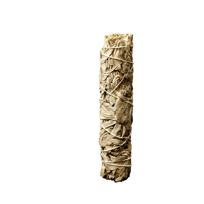 Bó lá xô thơm white sage 18-22cm