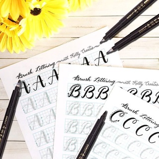 Bút Baoke viết thư pháp hán tự, calligraphy, kanji - có thể bơm mưc