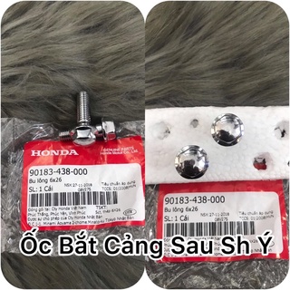 Ốc bắt cảng sau sh ý , shvn . giá 1 con