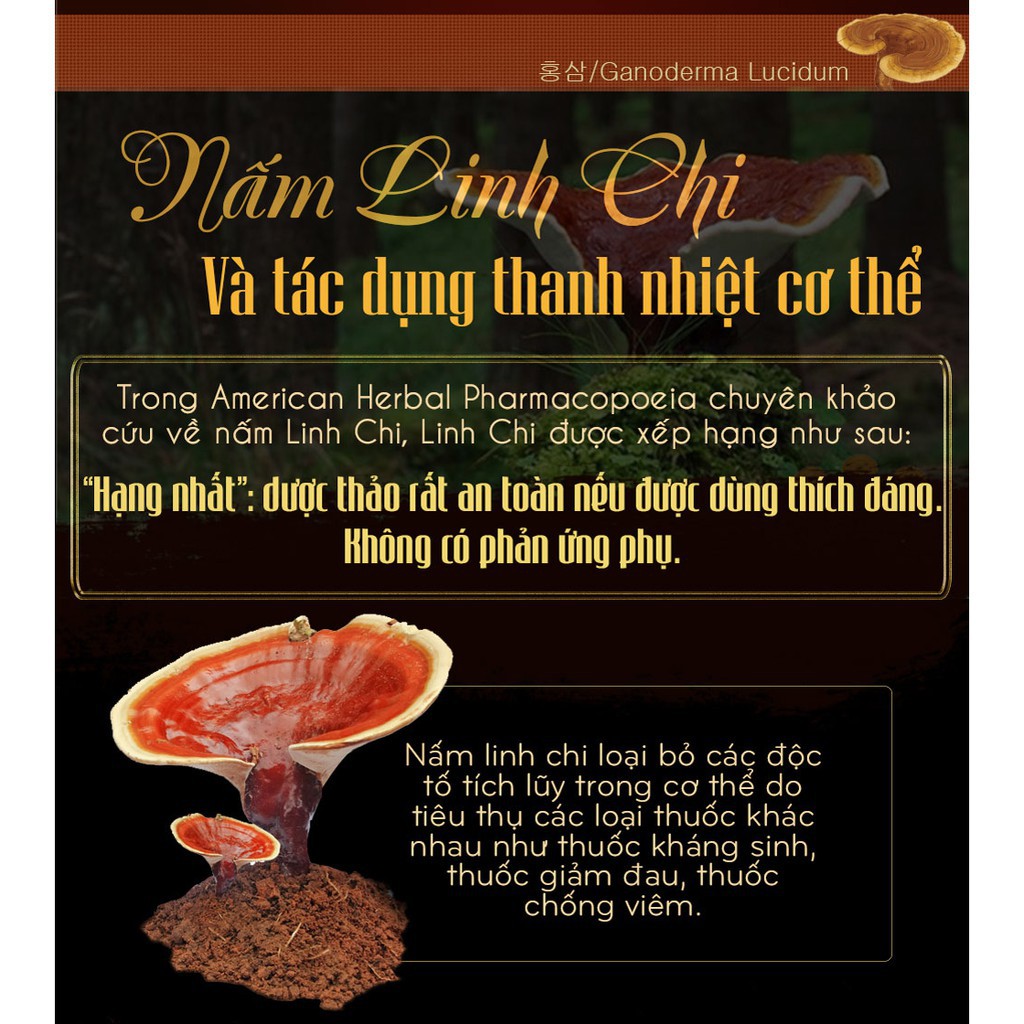 Nấm Linh Chi Cờ Hàn Quốc, Hộp Quà Biếu Sang Trọng