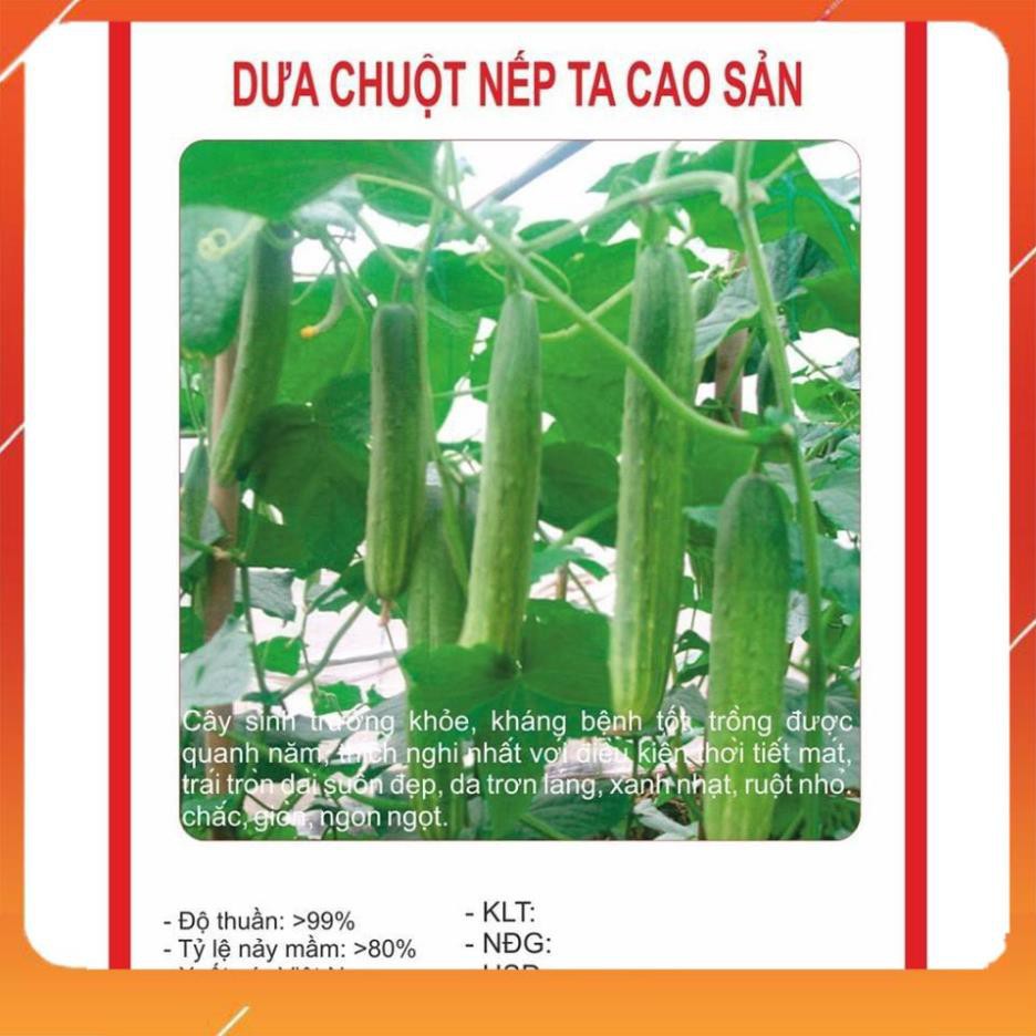 [BÁN CHẠY] HẠT GIỐNG DƯA CHUỘT NẾP GAI THƠM HÀN QUỐC