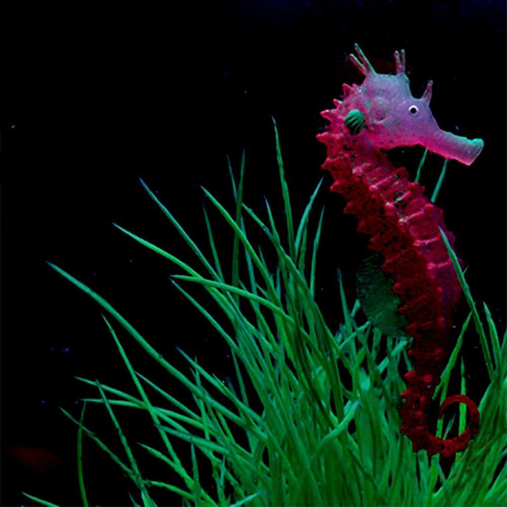 Cá Ngựa Mềm Phát Quang Dùng Trang Trí Bể Cá