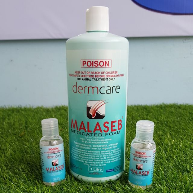 DermCare Malaseb - Sữa tắm trị nấm, viêm da chó / mèo (50ml)