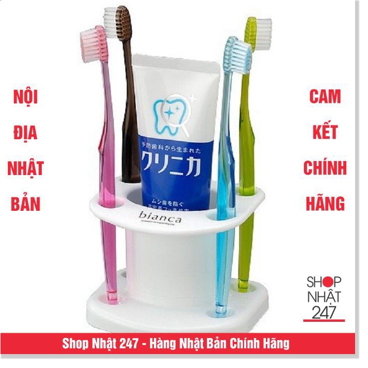 GIÁ CẮM BÀN CHẢI KEM ĐÁNH RĂNG (MẪU TRÒN) - NỘI ĐỊA NHẬT BẢN