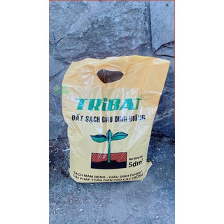 Đất TriBat Trồng Cây