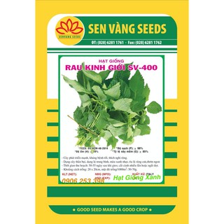 Hạt giống rau kinh giới 0.5gr năng suất dễ trồng