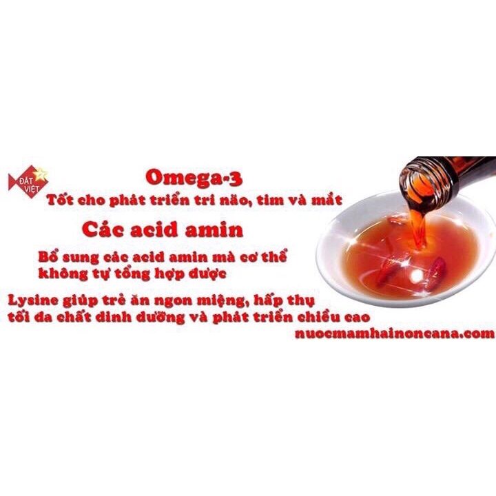 Nước mắm truyền thống HAI NON CÀ NÁ 25 độ đạm thùng 3l