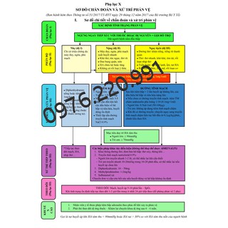 PHÁC ĐỒ CHỐNG SỐC PHẢN VỆ - SƠ ĐỒ TÓM TẮT VỀ CHẨN ĐOÁN VÀ XỬ TRÍ PHẢN VỆ [ Thông tư 51/2017/TT-BYT ]