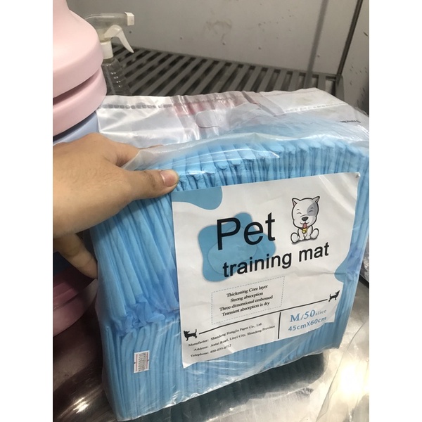 TẤM LÓT DẠY THÚ CƯNG ĐI VỆ SINH ĐÚNG CHỖ