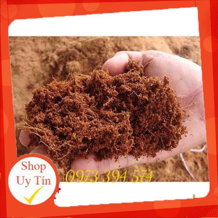 Xơ dừa, mùn dừa trồng cây
